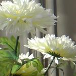 litovchen@mail.ru