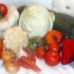 zilzilya