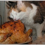 кыня