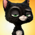 kowka_ha_okowke