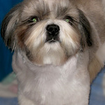 slava7