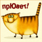 надюша17