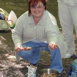 ulvivika