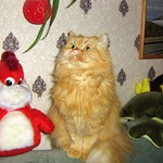 valca2009
