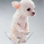 masha_351@mail.ru