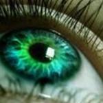 np808