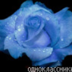 rosako