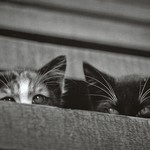 l&n
