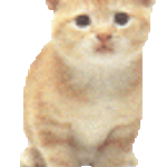 джулия2