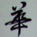 дашенька17