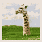 giraff