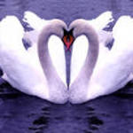 guzy921