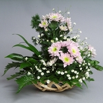 kuleva2012