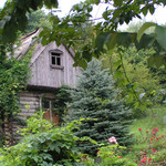 grunin_alex