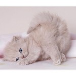 230174@inbox.ru