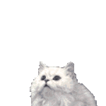 оле4ка
