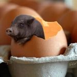 Казямочка