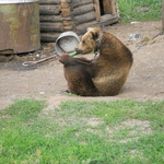 Катюха