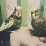 Наталия