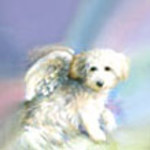 Silveri