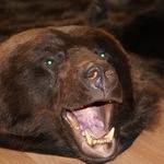 vovan
