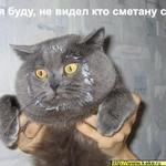 andreasd