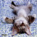nadiy