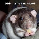 хомячог