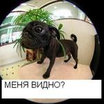 @zanoza@